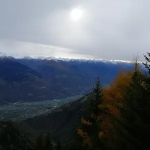 https://hotel-albrici.it-lombardy.com